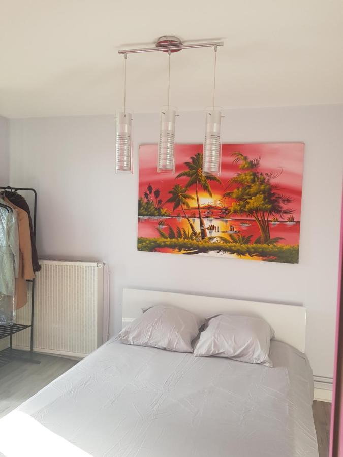 Chambres A Louer Dans Appartement Balcon - Wifi - Parking Gratuit Nevers Bagian luar foto