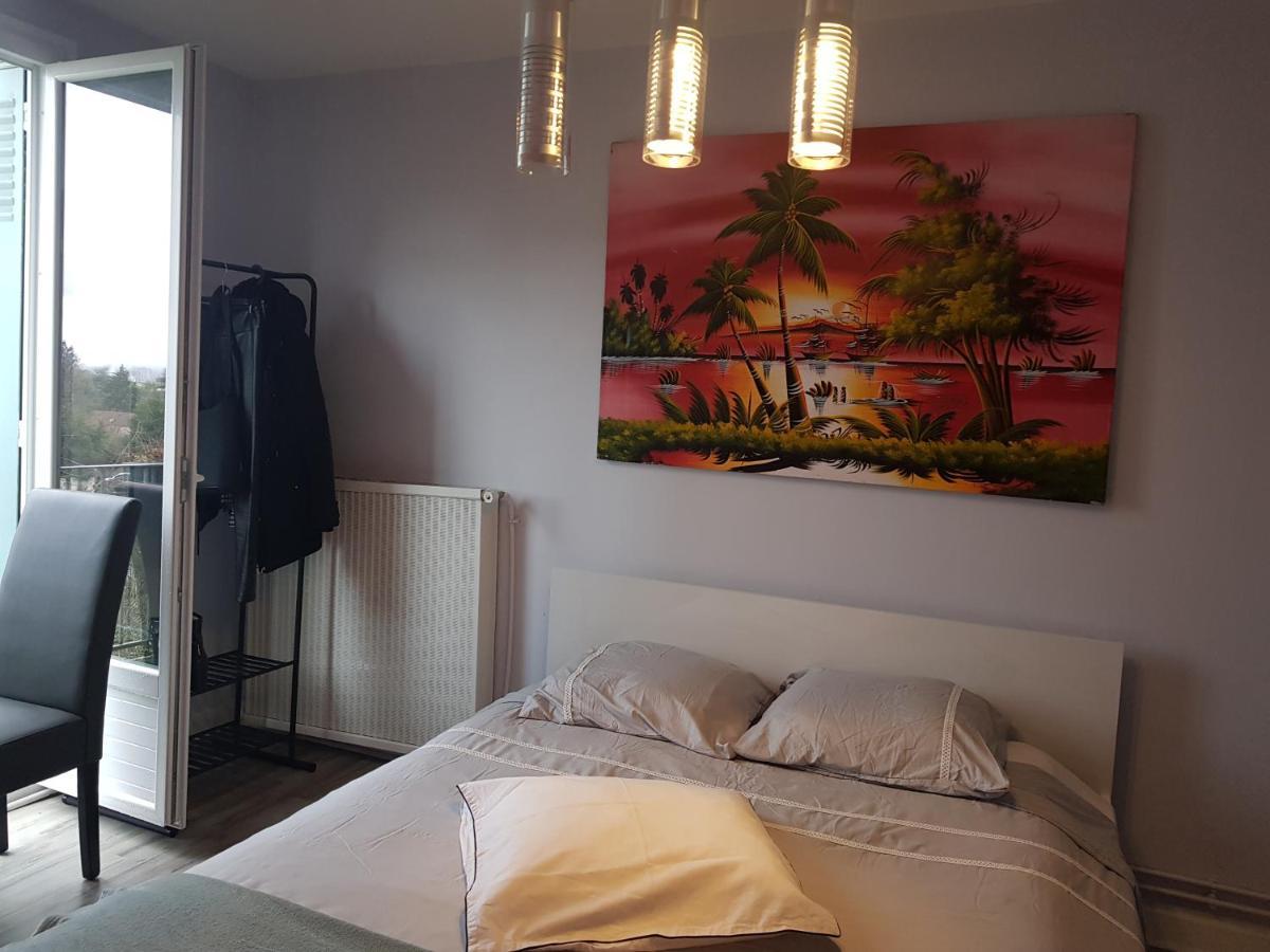 Chambres A Louer Dans Appartement Balcon - Wifi - Parking Gratuit Nevers Bagian luar foto