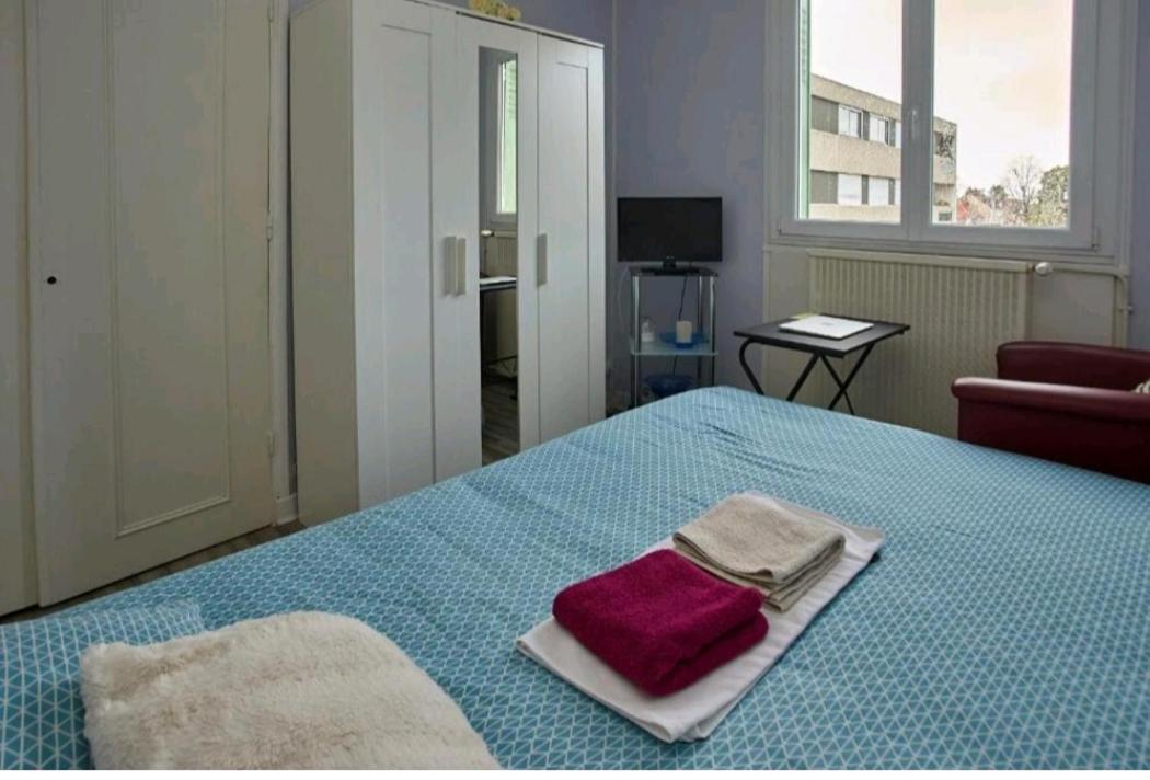 Chambres A Louer Dans Appartement Balcon - Wifi - Parking Gratuit Nevers Bagian luar foto