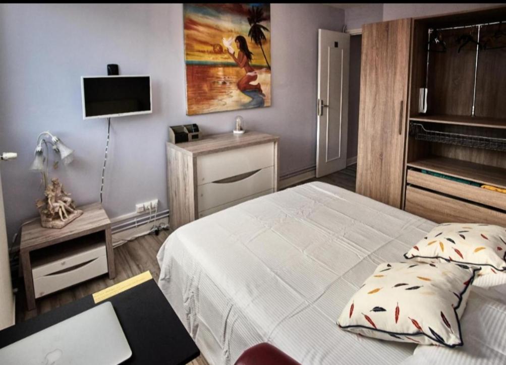 Chambres A Louer Dans Appartement Balcon - Wifi - Parking Gratuit Nevers Bagian luar foto